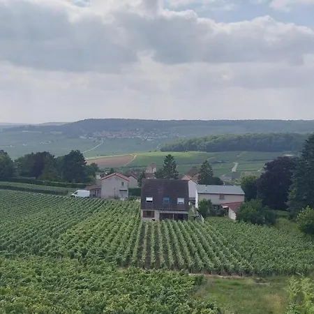 House In The Heart Of The Champagne Vineyard Holiday home